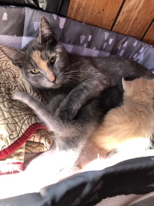 Lyndon Veterinary Clinic Picture 5