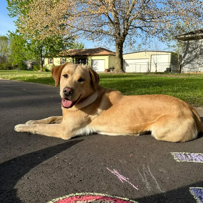 Crossroads Animal Clinic, LLC Picture 2