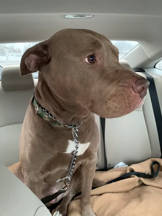 Crossroads Animal Clinic, LLC Picture 1