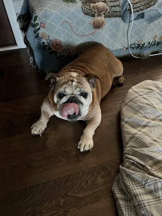 Crossroads Animal Clinic, LLC Picture 6