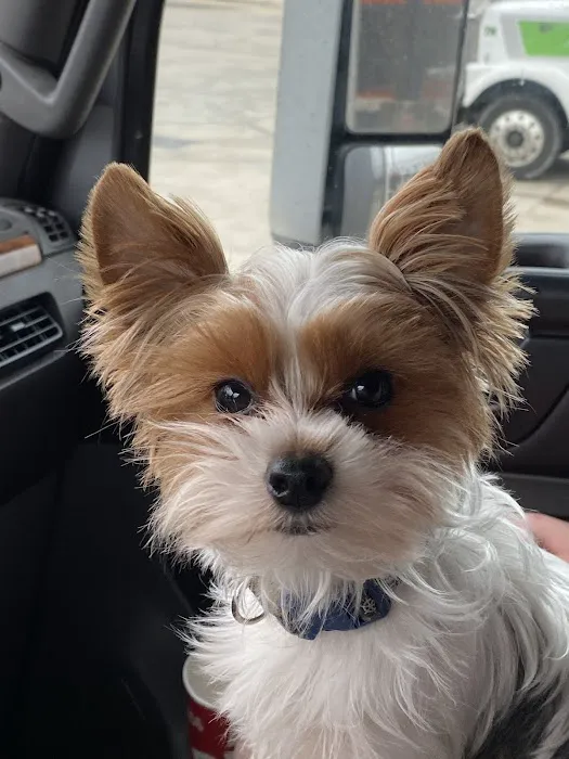 Crossroads Animal Clinic, LLC Picture 5