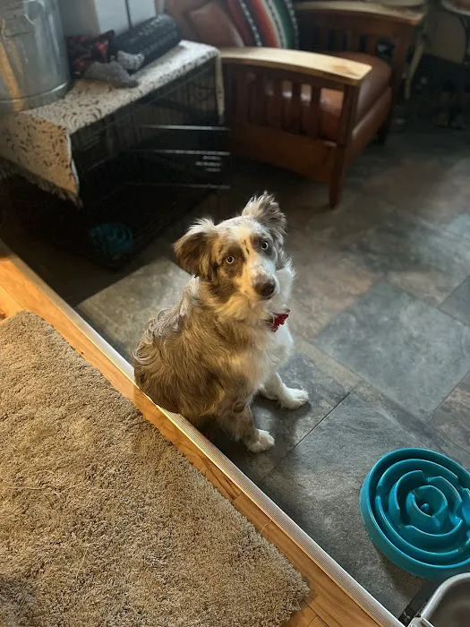 Crossroads Animal Clinic, LLC Picture 9