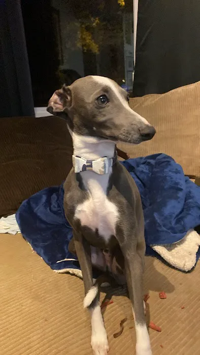 Crossroads Animal Clinic, LLC Picture 10