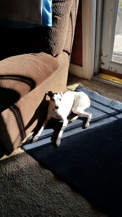 Family Pet Care LLC Picture 2