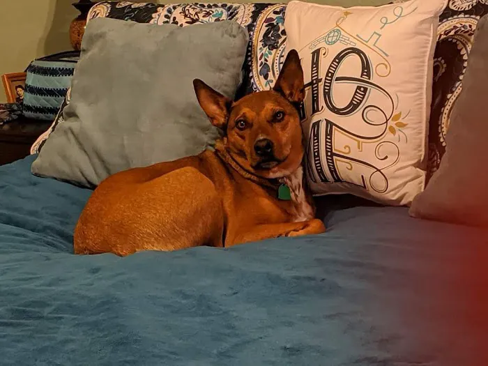 Family Pet Care LLC Picture 1