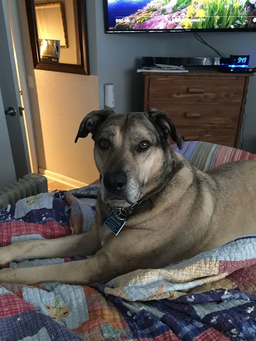 Family Pet Care LLC Picture 5