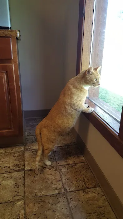 Family Pet Care LLC Picture 9