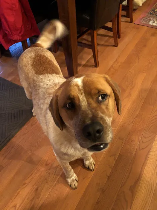 Family Pet Care LLC Picture 8