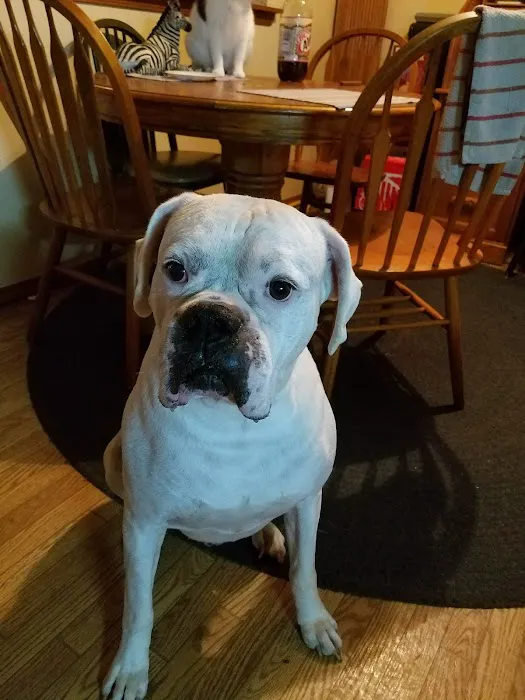 Family Pet Care LLC Picture 10