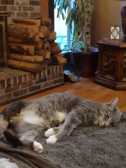 Family Pet Care LLC Picture 7