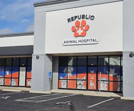 Dr. Melanie Fergason DVM