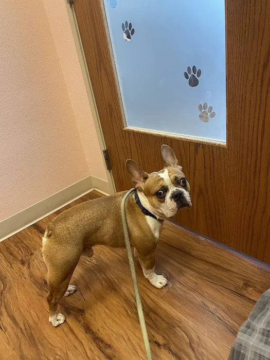 Republic Animal Hospital Picture 3