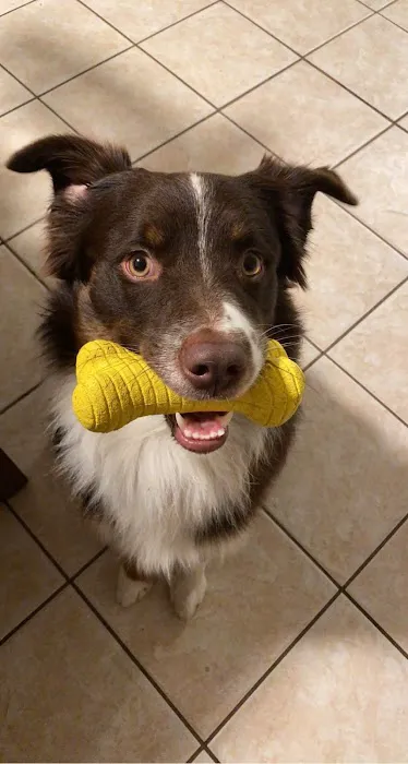 Republic Animal Hospital Picture 8