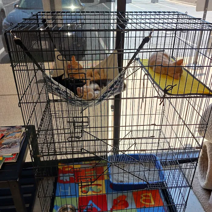 Wilson's Creek Animal Hospital Picture 1