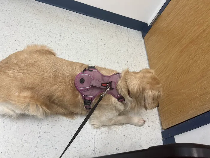 Wilson's Creek Animal Hospital Picture 4