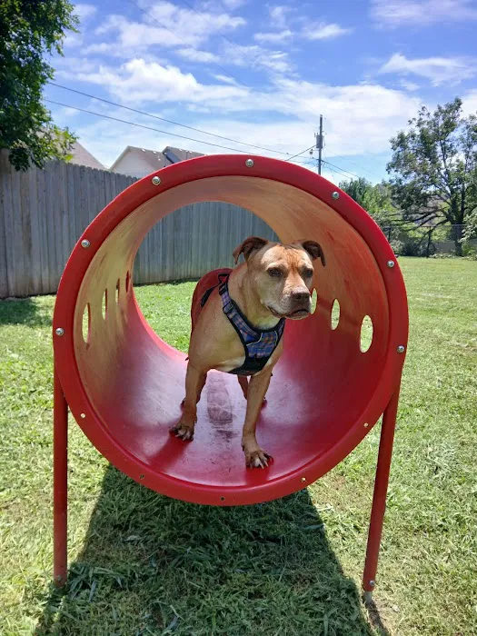 Wilson's Creek Animal Hospital Picture 3