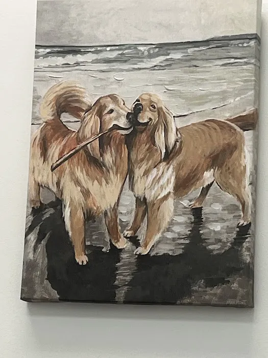 Wilson's Creek Animal Hospital Picture 6