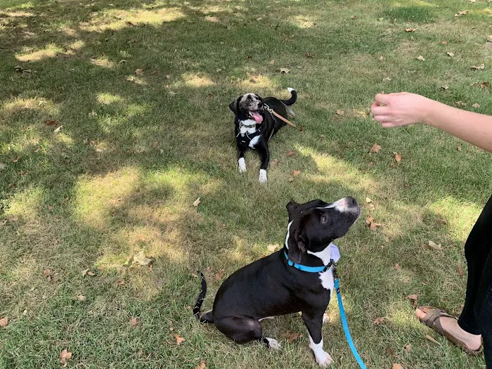 Wilson's Creek Animal Hospital Picture 9