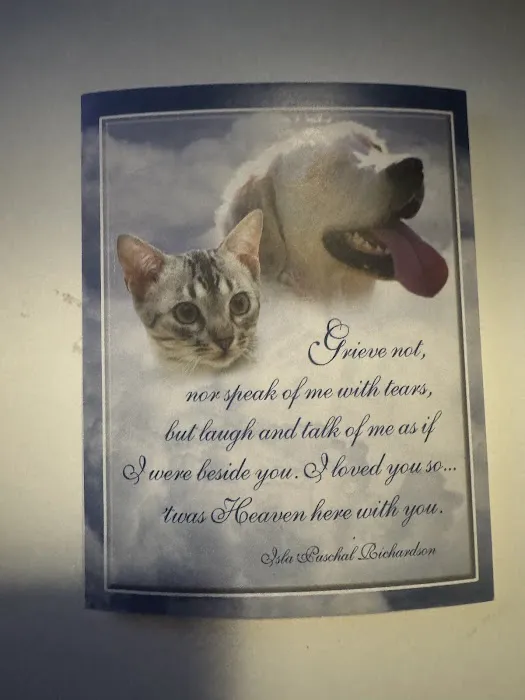 Wilson's Creek Animal Hospital Picture 7