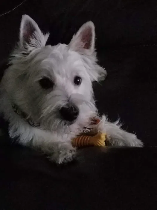 Dake Veterinary Clinic Picture 1