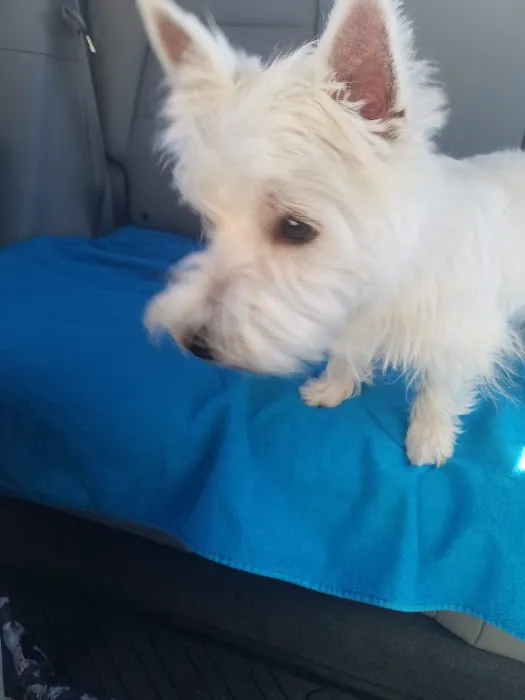 Dake Veterinary Clinic Picture 2