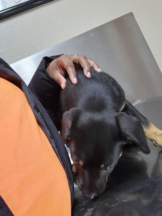 Dake Veterinary Clinic Picture 6