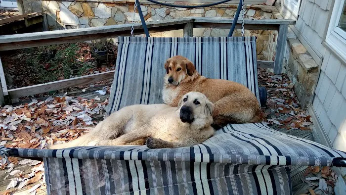 Dake Veterinary Clinic Picture 5