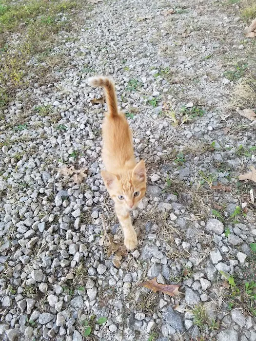 Dake Veterinary Clinic Picture 3