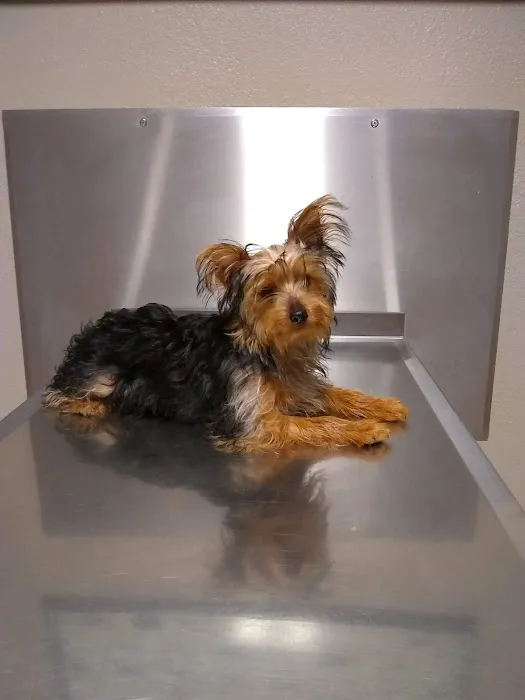 Dake Veterinary Clinic Picture 7