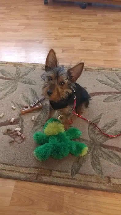 Dake Veterinary Clinic Picture 4