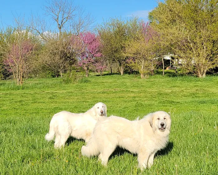 Dake Veterinary Clinic Picture 9