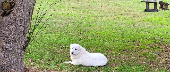 Dake Veterinary Clinic Picture 8