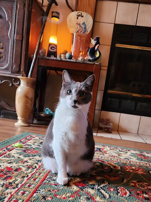 Hometown Veterinary Hospital Picture 2