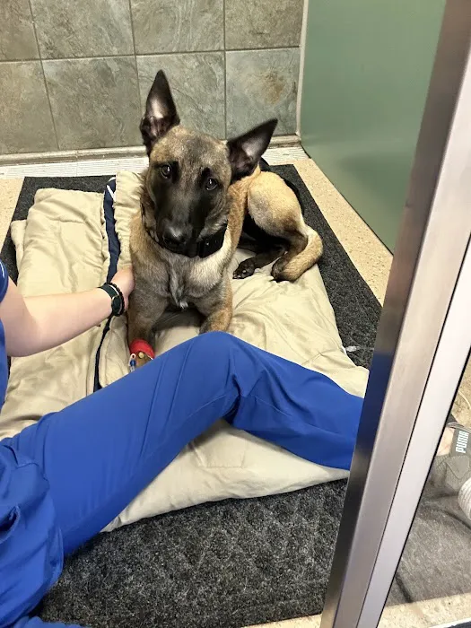 Hometown Veterinary Hospital Picture 1