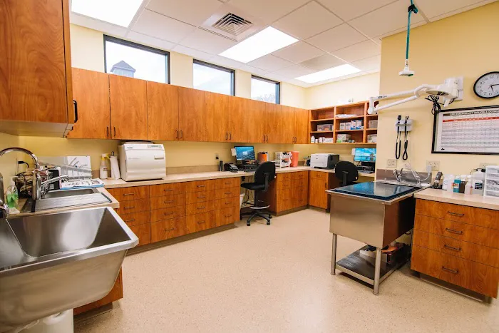Hometown Veterinary Hospital Picture 6