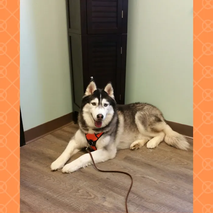 Hometown Veterinary Hospital Picture 10