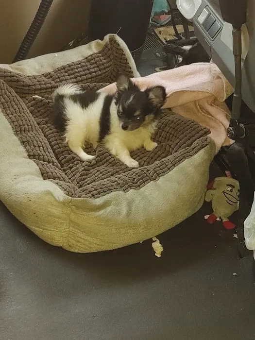 Williams Veterinary Service Picture 3