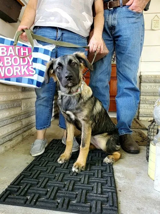 Williams Veterinary Service Picture 1