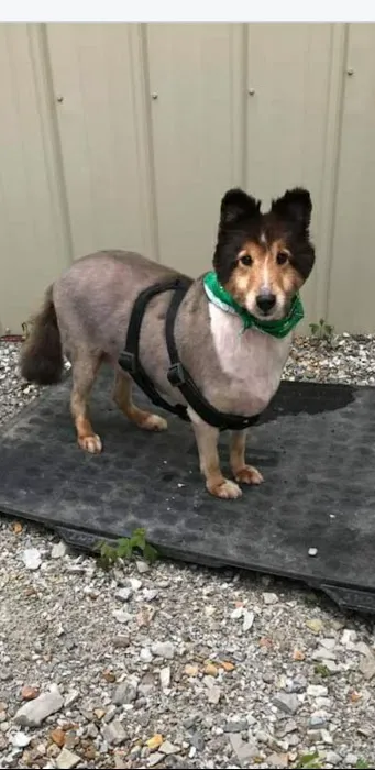 Williams Veterinary Service Picture 10