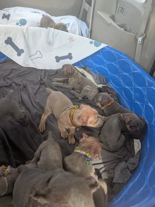 Graff Veterinarian Clinic Picture 6