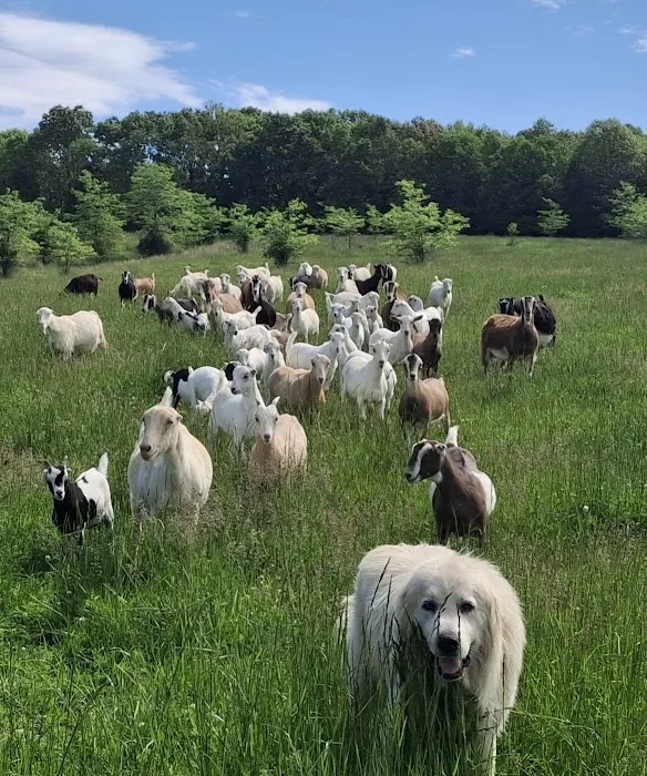 Graff Veterinarian Clinic Picture 5