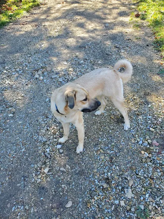 Graff Veterinarian Clinic Picture 8