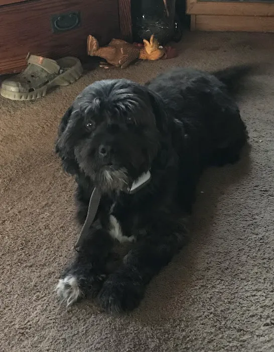 Taylor Veterinary Clinic Picture 2