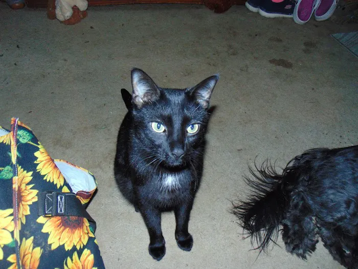 Taylor Veterinary Clinic Picture 3