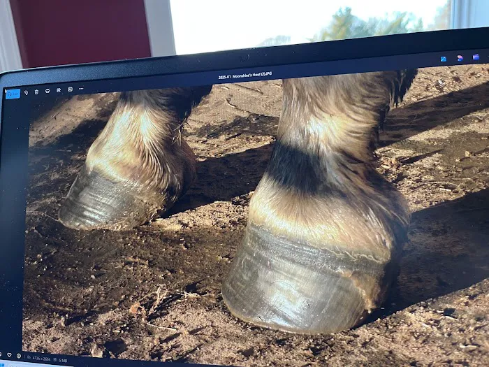 Taylor Veterinary Clinic Picture 4