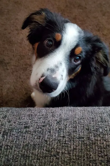 Taylor Veterinary Clinic Picture 8