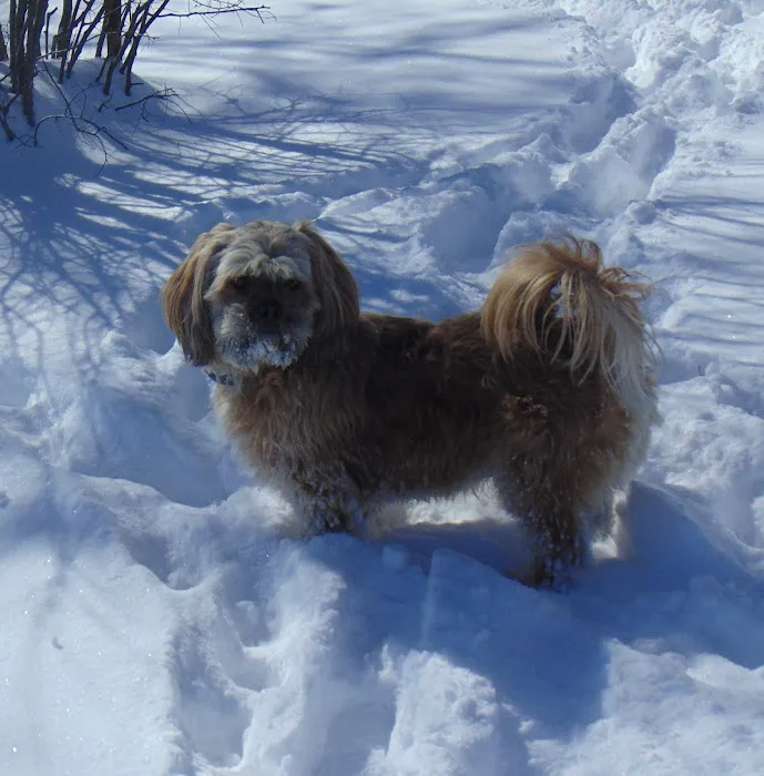 Taylor Veterinary Clinic Picture 5