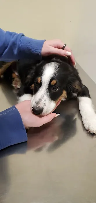 Taylor Veterinary Clinic Picture 7