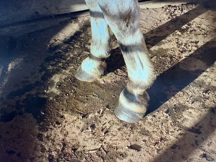 Taylor Veterinary Clinic Picture 6