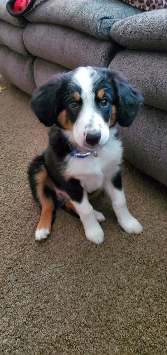 Taylor Veterinary Clinic Picture 9